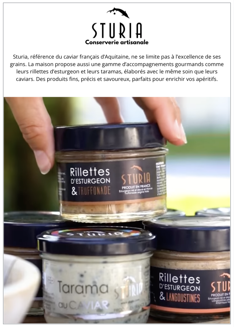 Capture d’écran 2025-11-19 à 12.58.28